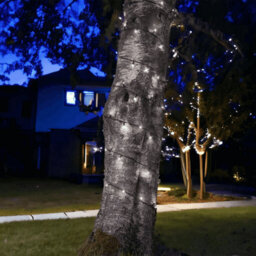 Lighting Legends 10M Pro Link Connectable Outdoor & Indoor Led Fairy String Lights Bright White - thumbnail 4