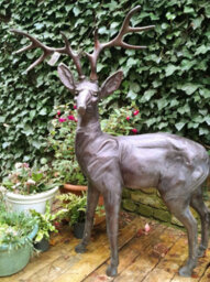 Inspirational Gifting Standing Stag Buck Ornament Cast From Aluminium Extra Large - thumbnail 3