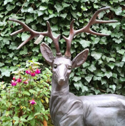 Inspirational Gifting Standing Stag Buck Ornament Cast From Aluminium Extra Large - thumbnail 5