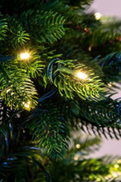 Christmas Tree World The 7Ft/210Cm Outdoor Pre-Lit Ultra Slim Mixed Pine - thumbnail 8
