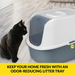 Cat Centre.Direct Cat Centre Hooded Cat Litter Tray With Charcoal Filter Large Covered Cat Litter Box Lid With Flap Door Detachable Rim Deep Safe - thumbnail 6