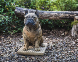 Life-Size French Bulldog Statue - thumbnail 5