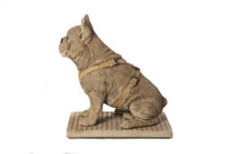 Life-Size French Bulldog Statue - thumbnail 7