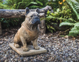Life-Size French Bulldog Statue - thumbnail 4