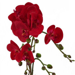 Leaf 50Cm Phalaenopsis Orchid Artificial - Red Leopard - Gold Pot - thumbnail 2