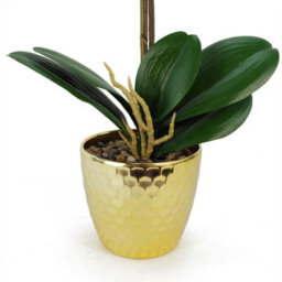 Leaf 50Cm Phalaenopsis Orchid Artificial - Red Leopard - Gold Pot - thumbnail 6