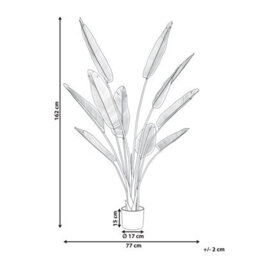 Wyld And Coco Luxleaf Artificial Banana Tree Gold 162Cm Potted With Adjustable Leaves For Indoor Decor - thumbnail 4