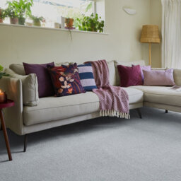 Grantham Bleach Cleanable Deep Pile Carpet By Remland (Easton, 1M X 5M) - thumbnail 2