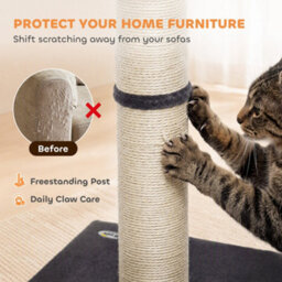 Pawhut Cat Scratching Post, 80Cm Tall Cat Scratch Post For Indoor Kittens - thumbnail 5