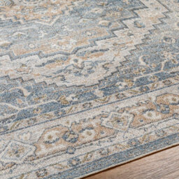 Livabliss Lillian-Washable Blue Brown Traditional Vintage Boho Living Dining Rug 120 X 170 Cm Easy Care, Non Shedding - thumbnail 3