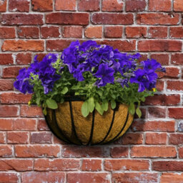 Amabassador Garden Wall Trough Planter 16 Inch Wrought Iron Wall Mounted Black Flower Basket - thumbnail 2