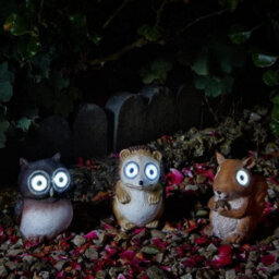 Garden Light Up Woodland Animal Ornamental Solar Powered Lights Set Of 3 Owl Hedgehog & Squirrel - thumbnail 2