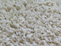 Aspect Furniture Cosy Plush Modern,thick,soft Shaggy Rug, Cream - thumbnail 3