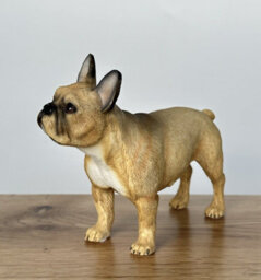Animal Crackers Tan French Bulldog Figurine From The Leonardo Dog Studies Range, Gift Boxed. - thumbnail 4