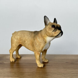 Animal Crackers Tan French Bulldog Figurine From The Leonardo Dog Studies Range, Gift Boxed. - thumbnail 2
