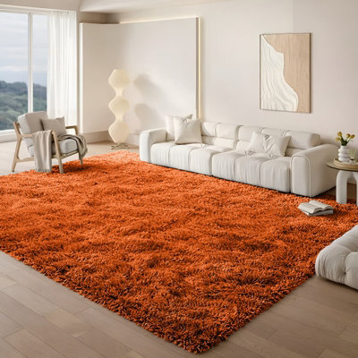 Aspire Homeware Non Slip Rust Shaggy Rug Soft Fluffy Washable, Living Area And Bedroom Rug, (L)200Cm X (W)140Cm