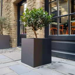 Woven Wood 60Cm Zinc Galvanised Matte Grey Square Planter - thumbnail 5