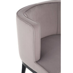 Orsina Light Grey Velvet Chair, Supportive Backrest Lounge Chair, Velvet Accent Chair - thumbnail 6