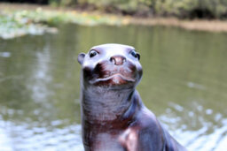 Inspirational Gifting Large Otter Sculpture Garden Ornament Statue - thumbnail 8
