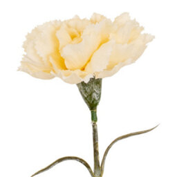 Hill Interiors Carnation Artificial Flower Cream (One Size) - thumbnail 1