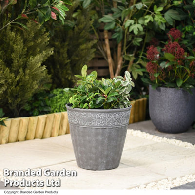 Garden Gear Damask Lead Effect Planter Outdoor Garden Patio Dark Grey 28Cm (X1) - image 1