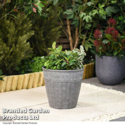Garden Gear Damask Lead Effect Planter Outdoor Garden Patio Dark Grey 28Cm (X1) - thumbnail 1