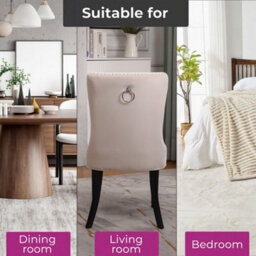 Neo Studded Natural Velvet Dining Chairs With Ring Knocker Detail X4 - thumbnail 7