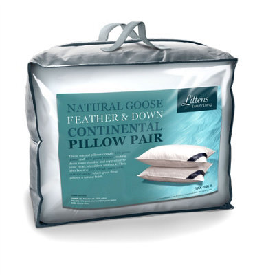 "Littens 40Cm X 80Cm European Continental Goose Feather & Down Pair Pillows (16"" X 32"")" - image 1