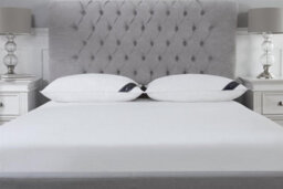 "Littens 40Cm X 80Cm European Continental Goose Feather & Down Pair Pillows (16"" X 32"")" - thumbnail 3