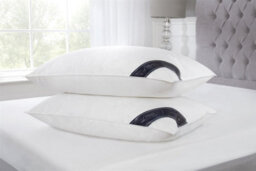 "Littens 40Cm X 80Cm European Continental Goose Feather & Down Pair Pillows (16"" X 32"")" - thumbnail 2