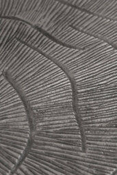 Orsina Silva Oak Effect Silver Top Coffee Table - thumbnail 4