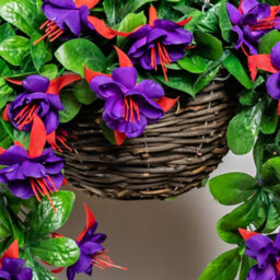 Primrose Pair Of Artificial Fuchsia Flowers Rattan Hanging Basket Decoration Purple 25Cm - thumbnail 5