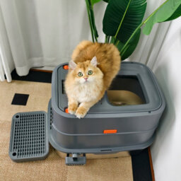 Bingopaw 58X42X42Cm Stainless Steel Cat Litter Box With Lid Enclosed Removable Litter Tray Big Pan - thumbnail 7