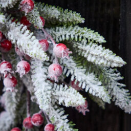 Dibor Hampton Frosted Berries Festive Decor Autumn-Winter Wreath Front Door Christmas Wreath 50Cm - thumbnail 2