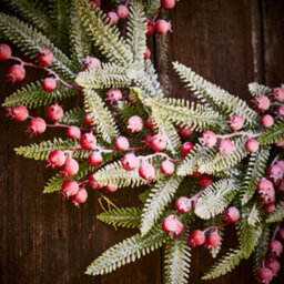 Dibor Hampton Frosted Berries Festive Decor Autumn-Winter Wreath Front Door Christmas Wreath 50Cm - thumbnail 6