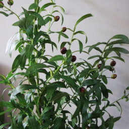 Leaf 120Cm Artificial Olive Tree Natural Style - thumbnail 3
