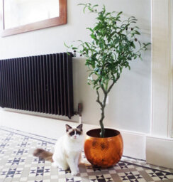 Leaf 120Cm Artificial Olive Tree Natural Style - thumbnail 1