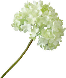 Bloom Artificial Single Cream Guelder Rose Branch - Faux Silk Flower Indoor Home Decoration Floral Arrangements - Measures L60Cm - thumbnail 4