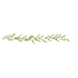 Melody Maison Green Frosted Foliage Christmas Garland - 160Cm (1.6M / 62.9') - thumbnail 6