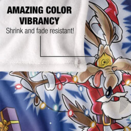 Warner Bros Christmas Vacation Silky Wile E Coyote Supersoft Blanket Multicoloured (152Cm X 127Cm) - thumbnail 4