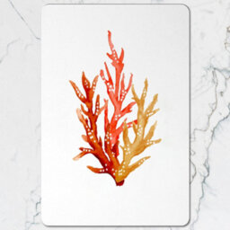 Benjamin Tate Design Placemat Coaster Set Coral Artwork Designer Collection Wooden Base Limited Edition - thumbnail 2