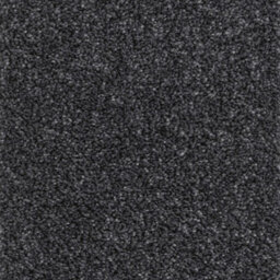Tranquillity Platinum Bleach Cleanable Carpet By Remland (Cirrus, 2M X 4M)