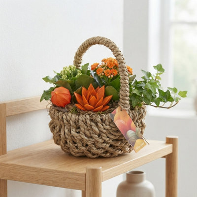 Orange Indoor Hanging Basket Arrangement - 24Cm - image 1
