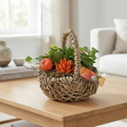 Orange Indoor Hanging Basket Arrangement - 24Cm - thumbnail 2