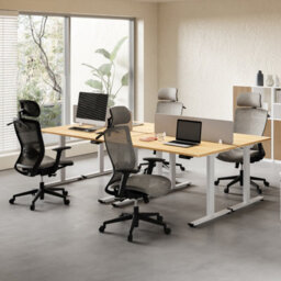 Flexispot Height Adjustable Standing Desk  Frame In Silver With Dual Motor And 100Kg Load Capacity - thumbnail 6