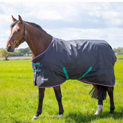 "Tempest Original 300 Horse Turnout Rug Black (4 6"")" - image 1