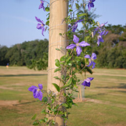 Primrose 4M Tall Wooden Sail Shade Pole With Eyebolt Screw Fixture For Sun Sail - 12Cm - thumbnail 5