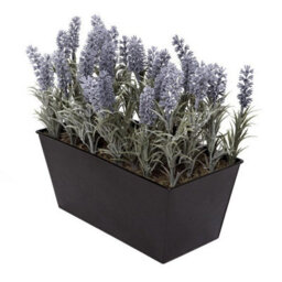 GreenBrokers Artificial Lavender In Black Tin Planter 30Cm, Lifelike, Maintenance-Free Decor, Perfect For Home, Office, Balcony, Patio - thumbnail 3
