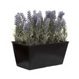 GreenBrokers Artificial Lavender In Black Tin Planter 30Cm, Lifelike, Maintenance-Free Decor, Perfect For Home, Office, Balcony, Patio - thumbnail 1
