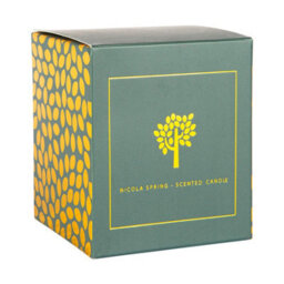 Nicola Spring 3X Wild Fig & Cassis Scented Candles - 130G 21H Natural Single Wick Soy Wax Aromatherapy Candle Home Fragrance - thumbnail 4